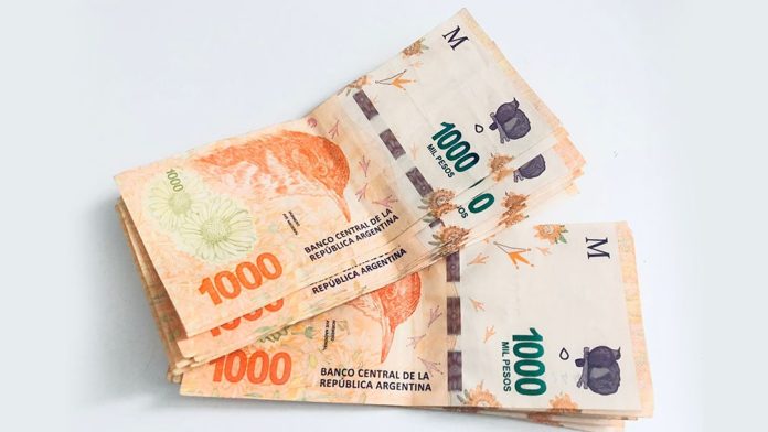 billetes-dinero_anses_02-min