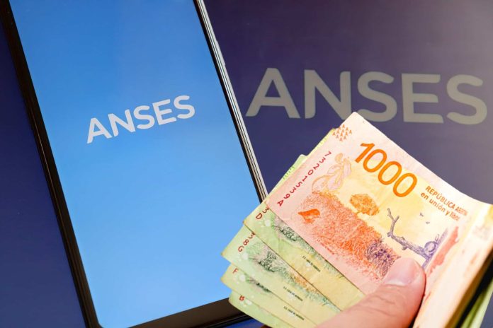 dinero anses (2)