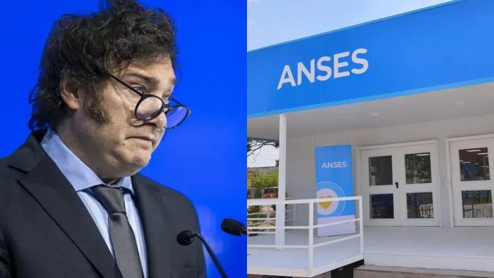 milei gobierno