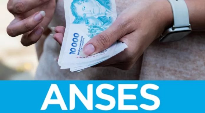 anses dinero fach