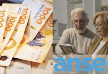 Jubilados Anses: mini bono para DNI 2 al 9, cómo consultar si cobro