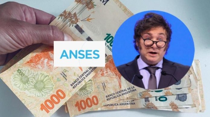 _anses_milei.jpg_4
