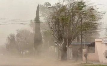 Alerta meteorológica en Jujuy: fuertes vientos y viento Zonda este martes