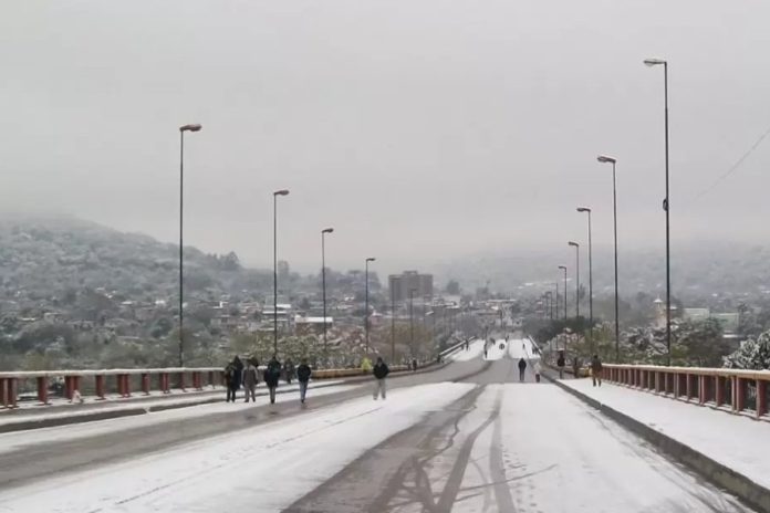 ola polar