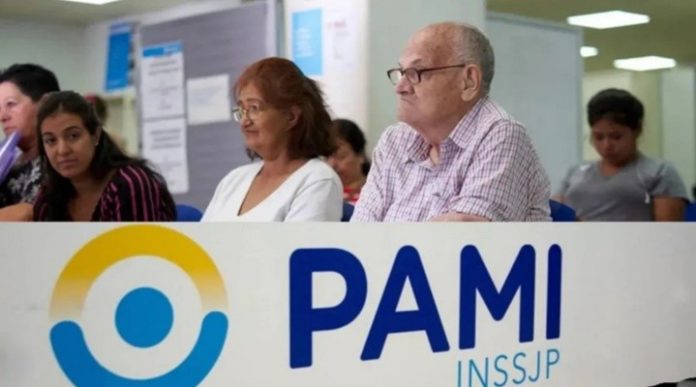 pami de anses