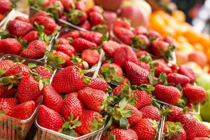precio frutillas jujuy