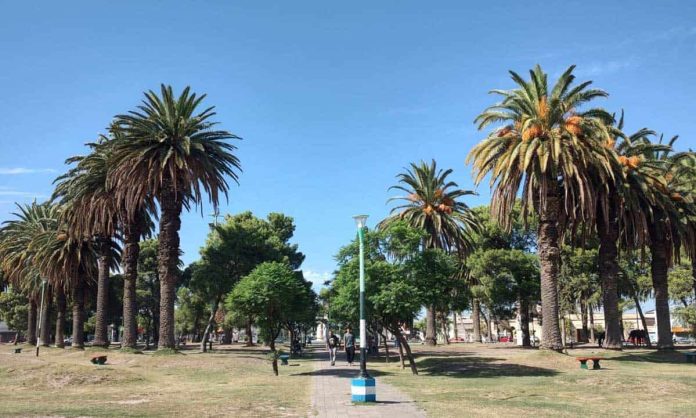 tiempo jujuy