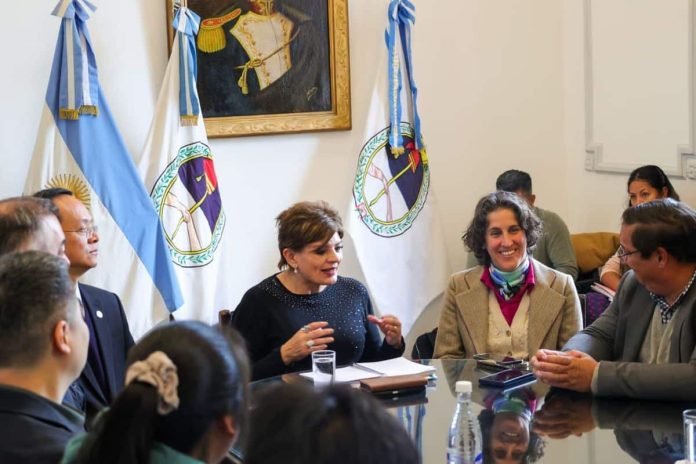 gobierno de jujuy,proyectoo