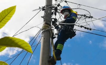 EJESA anunció cortes de luz para este domingo en Pampa Blanca y Palma Sola