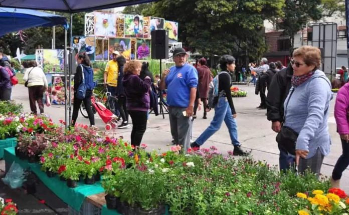 plantas jujuy