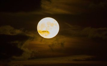 Superluna del Castor: fecha exacta y cómo disfrutar del fenómeno astronómico de noviembre 2025