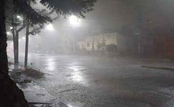 Alerta amarilla en Jujuy por tormentas: zonas afectadas y pronóstico