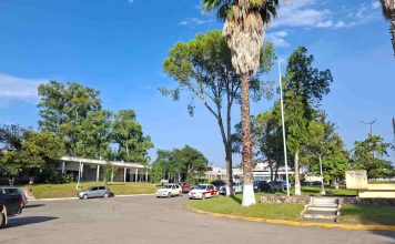 Sube la temperatura en Jujuy: anuncian días casi primaverales