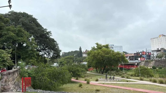 CLIMA FINDEE