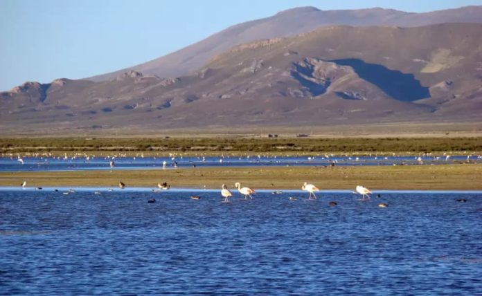 laguna de pozuelos