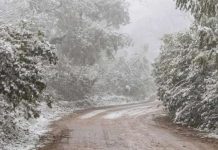 Nieve en Jujuy: qué dice el pronóstico para las próximas semanas