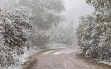 Nieve en Jujuy: qué dice el pronóstico para las próximas semanas