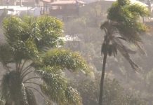 Alerta amarilla en Jujuy: viento con ráfagas de hasta 100 km/h