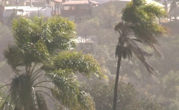 Alerta amarilla en Jujuy: viento con ráfagas de hasta 100 km/h