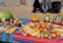Domingo de ecotrueque en Jujuy: horario y detalles de la actividad