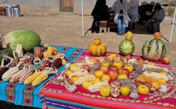 Domingo de ecotrueque en Jujuy: horario y detalles de la actividad