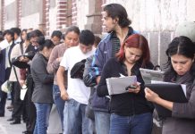 Cómo solicitar la asistencia de $376.000 que entrega la Anses para desempleados