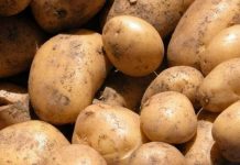 La papa alcanzó un precio récord en Jujuy y ya cuesta hasta $2.000 el kilo