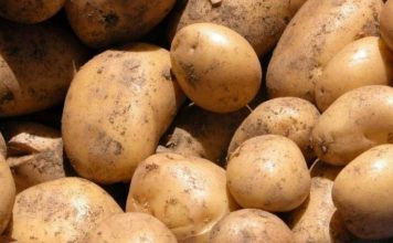 La papa alcanzó un precio récord en Jujuy y ya cuesta hasta $2.000 el kilo