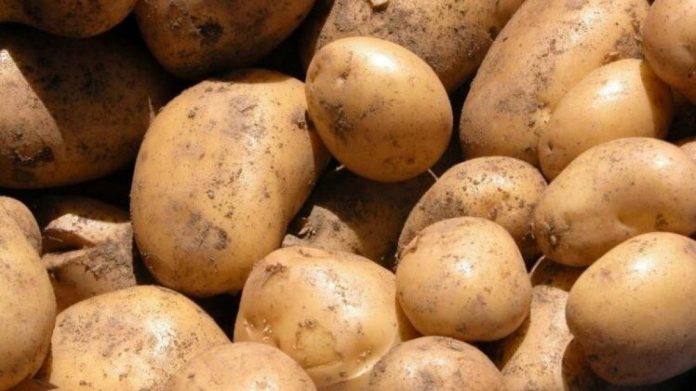 papas-precios-jujuy