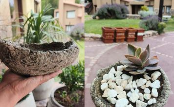 Reposo del Diablo refuerza sus proyectos sustentables y suma nuevas iniciativas para cuidar el ambiente en Tilcara