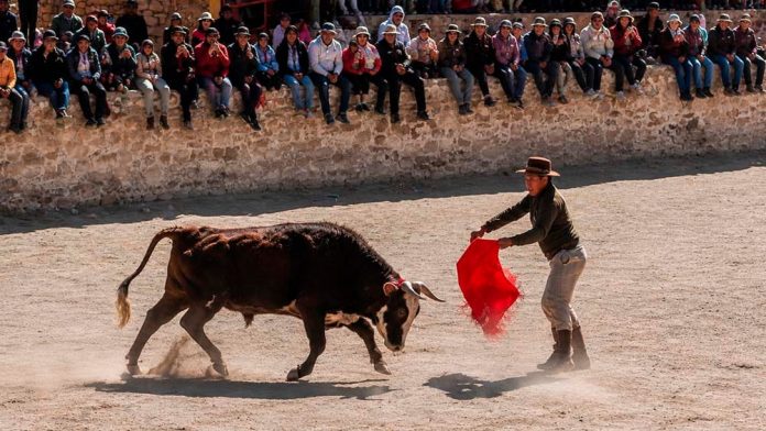toreo-vincha-casabindo (1)