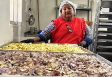 Una cooperativa de Maimará quedó entre las tres finalistas de un premio mundial por su impacto agroalimentario