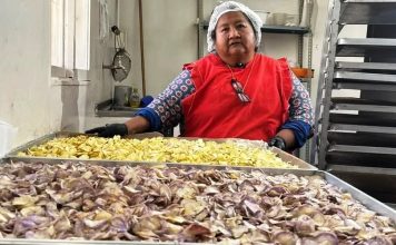 Una cooperativa de Maimará quedó entre las tres finalistas de un premio mundial por su impacto agroalimentario