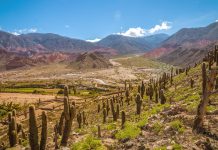 Jujuy fue elegido como el mejor destino de montaña de Sudamérica en 2026