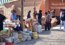 Cauqueva se prepara para la definición de los WorldFMC Awards 2026: fue nominada como Mejor Agricultor